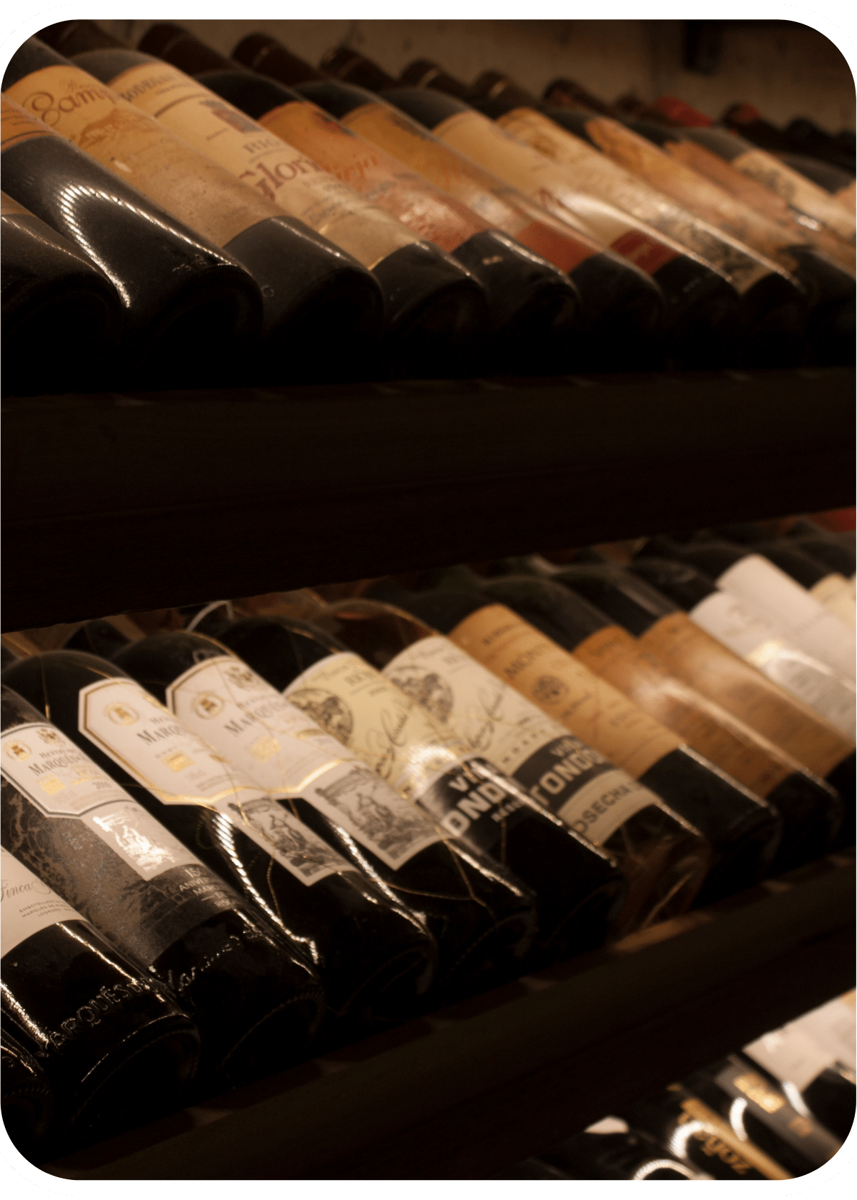 Decoding Wine Labels: A Beginner's Crash Course in Selecting the Ideal Bottle